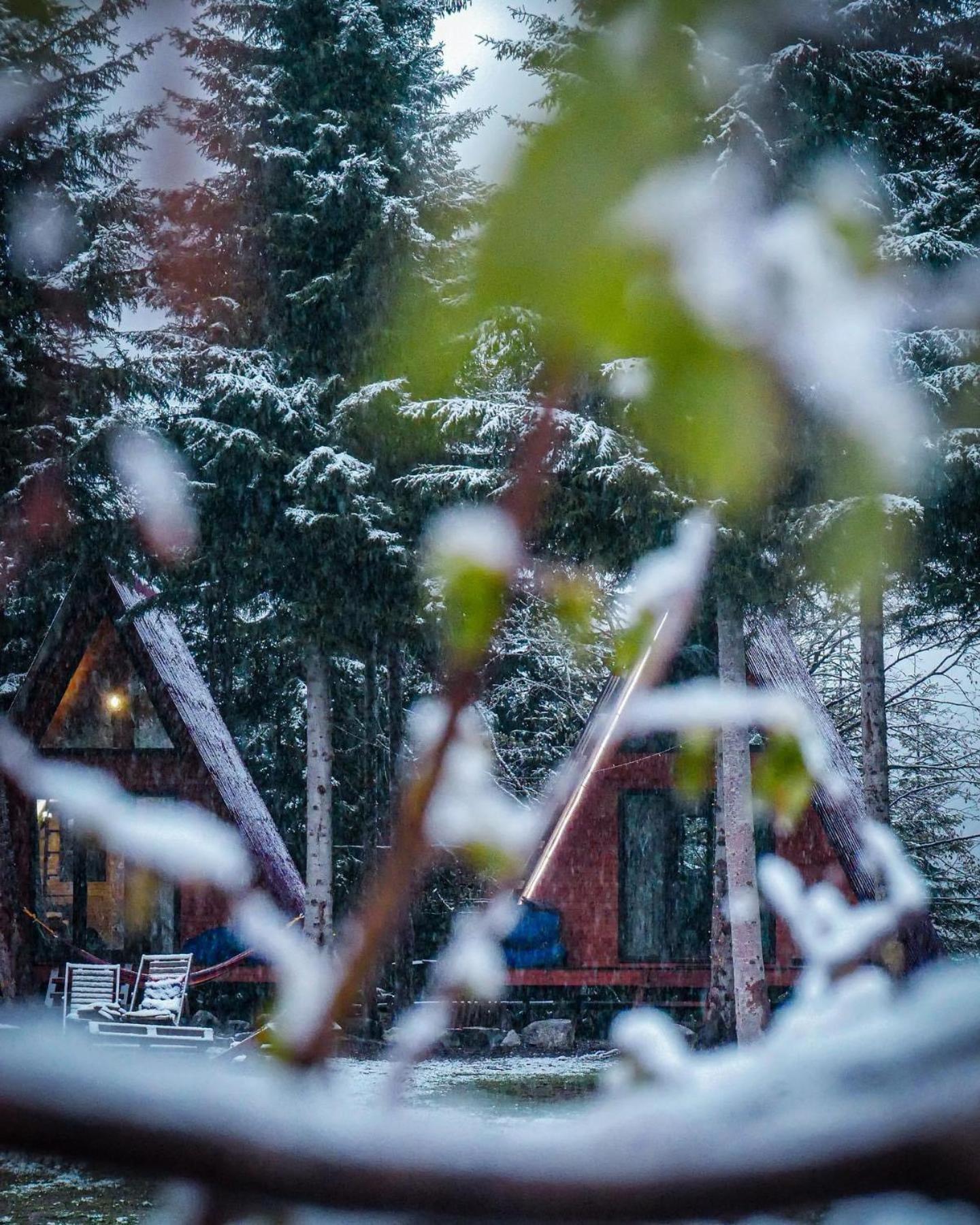 Bude Mestia Cottages 외부 사진